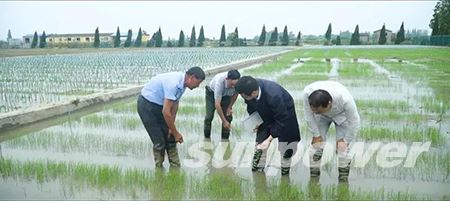 永盈会·[中国]官方网站